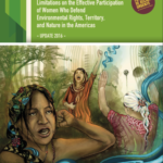 Patterns of criminalization and limitations on the effective participation of women who defend environmental rights, territoy and nature in the Americas.
