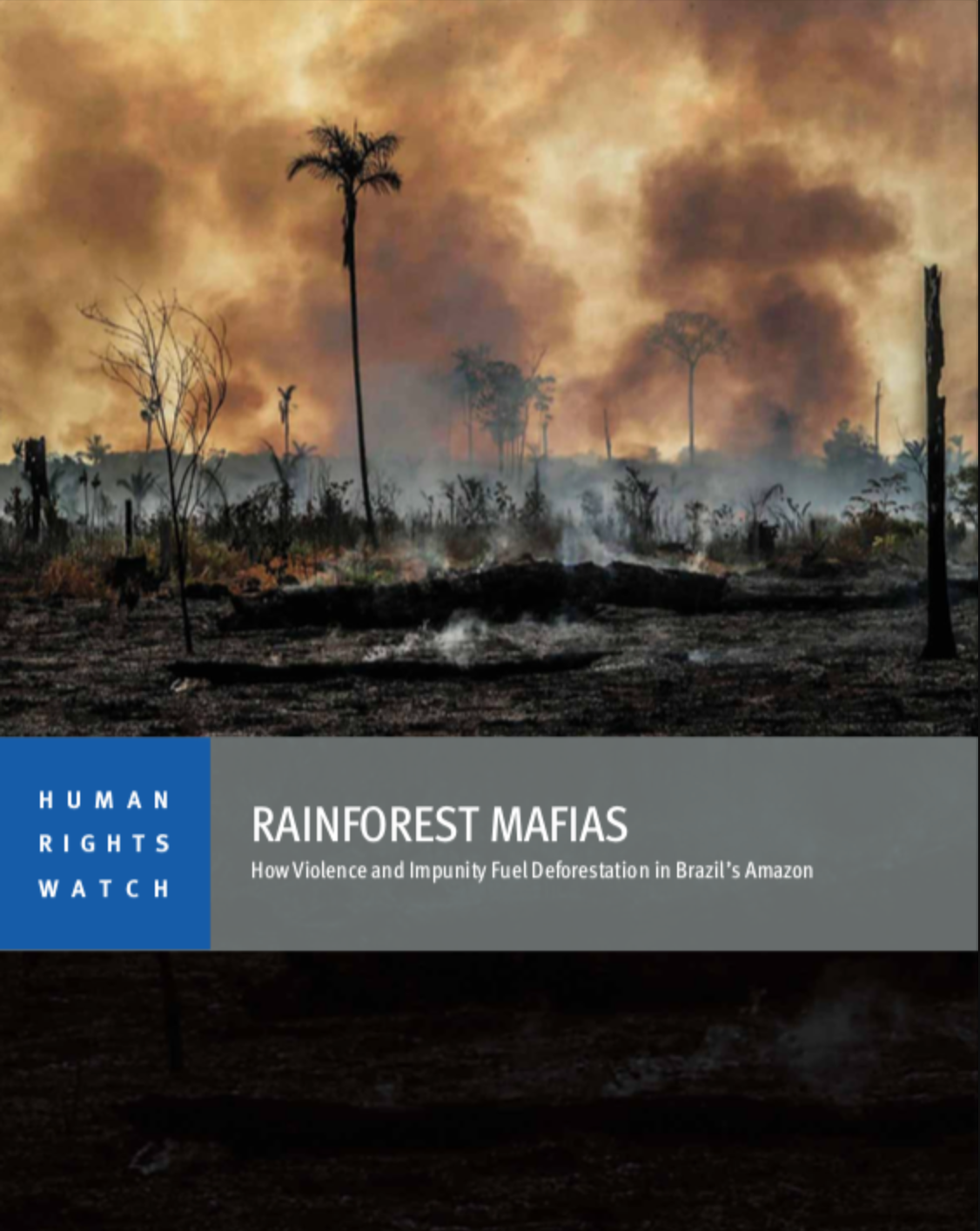 Rainforest Mafias. How Violence and Impunity Fuel Deforestation in Brazil’s Amazon