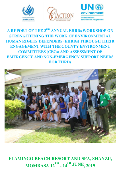 Strengthening the work of EHRDs through their engagement with the Country Environment Committees