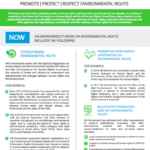 The Environmental Rights Initiative Factsheet