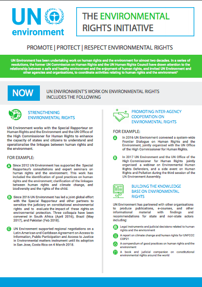 The Environmental Rights Initiative Factsheet