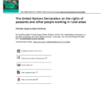 The United Nations Declaration on the rights of peasants and other people working in rural areas