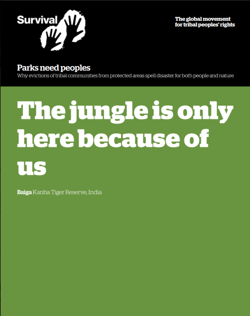 The jungle is only here because of us. Why evictions of tribal communities from protected areas spell disaster for both people and nature. Baiga Kanha Tiger Reserve, India.