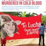 ‘They spoke truth to power and were murdered in cold blood:’ analysis on the situation of environmental human rights defenders and concrete recommendations to better protect them