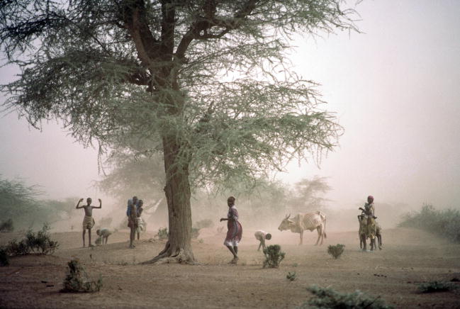 Lead Pollution in Kenya