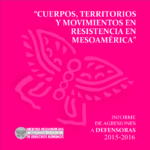 Cuerpos, Territorios, y Movimientos en Resistencia en Mesoamérica