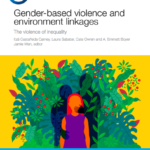 Gender-based Violence and Environment Linkages – The violence of inequality
