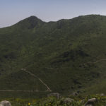 Protectoras Ambientales de la Flor y Lomas de Amancaes – PAFLA