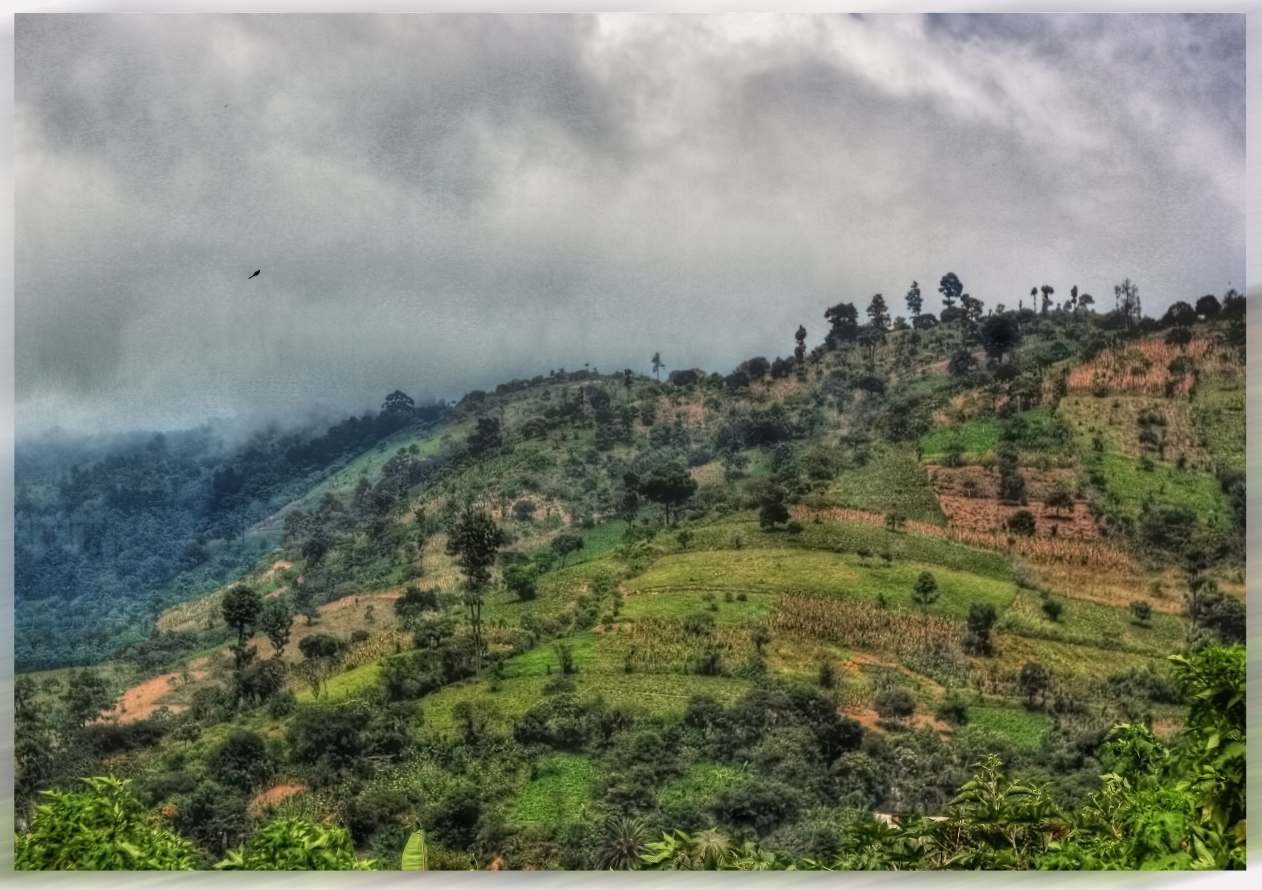 Lenca Indigenous Movement of La Paz Honduras – MILPAH