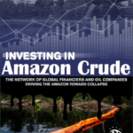 Investing in Amazon Crude