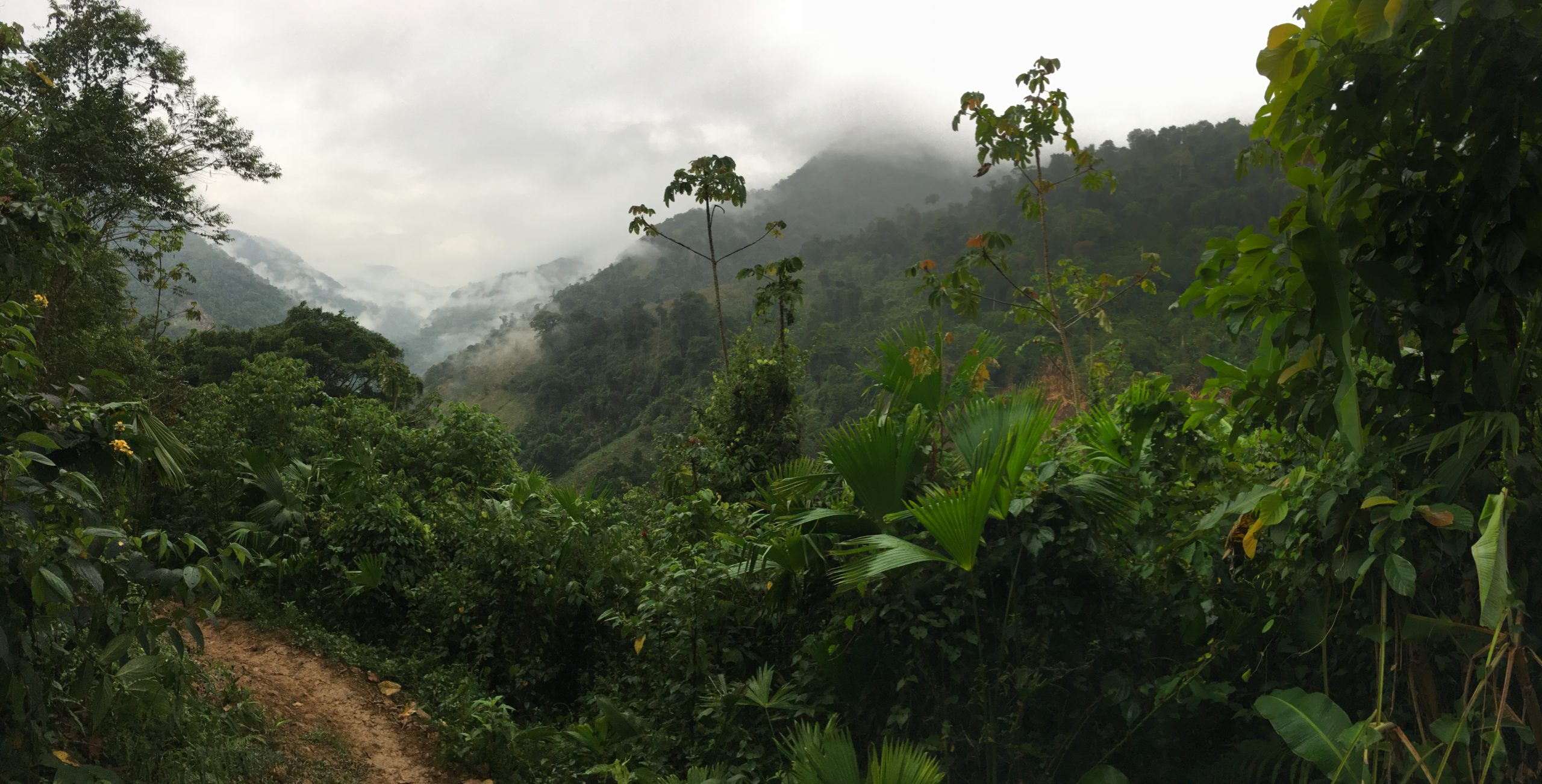 Gonawindúa Tayrona Organization – OGT