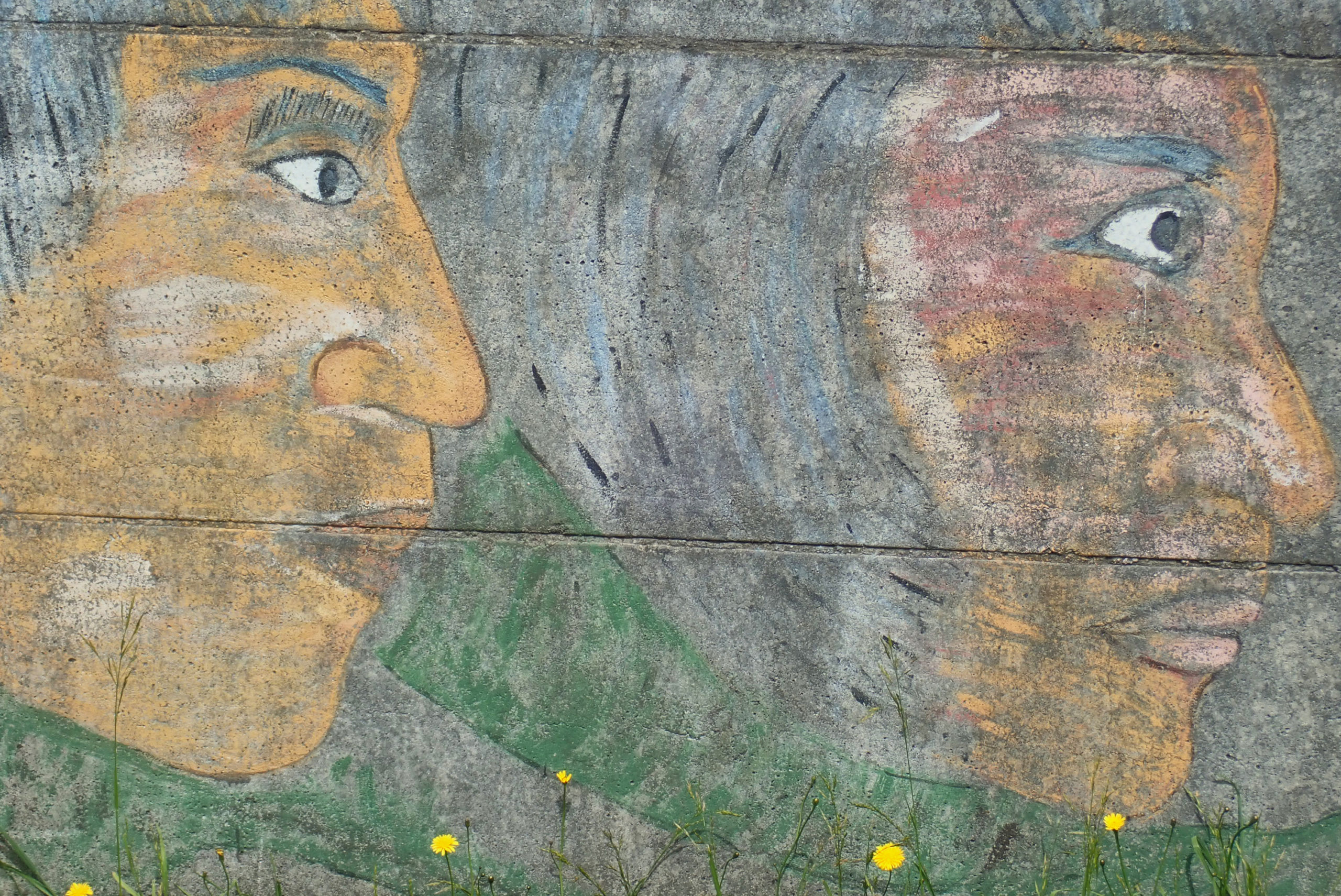 Alberto Curamil: Mapuche Leader