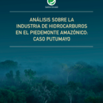 Análisis sobre la Industria de Hidrocarburos en el Piedemonte Amazónico: Caso Putumayo