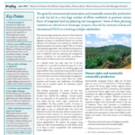 Upholding Human Rights in Jurisdictional Approaches