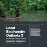 Local Biodiversity Outlooks 2: The contributions of indigenous peoples and local communities to the implementation of the Strategic Plan for Biodiversity 2011–2020 and to renewing nature and cultures.