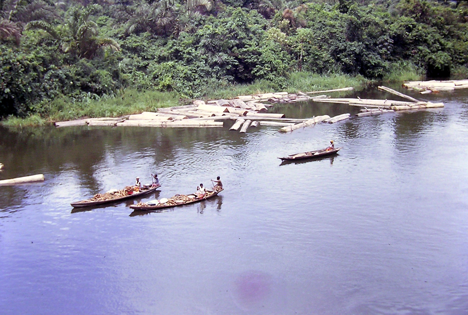 Federation of Ogoni Women´s Association – FOWA