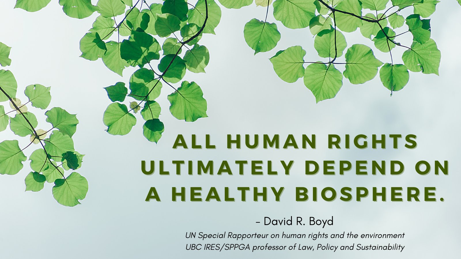 Los derechos humanos dependen de una biosfera saludable: Informe del Relator Especial sobre la cuestión de las obligaciones de derechos humanos relacionadas con el disfrute de un medio ambiente sin riesgos, limpio, saludable y sostenible, David R. Boyd