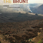 Bearing The Brunt: the impact of government responses to COVID-19 on indigenous peoples in India