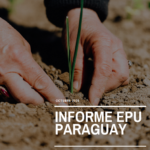 Tercer Ciclo del Examen Periódico Universal del Paraguay. Informe Alternativo: Pueblos indígenas, defensoras ambientales, derecho al agua y derecho al territorio.