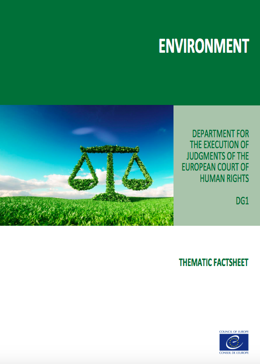 Thematic Factsheet on the Environment.