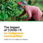 The impact of COVID-19 on indigenous communities: Insights from the Indigenous Navigator