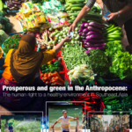 Prosperous and Green in the Anthropocene: The Human Right to a Healthy Environment in Southeast Asia