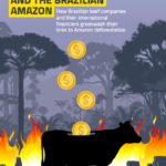 Beef, Banks and the Brazilian Amazon