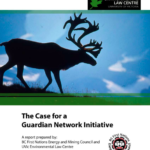 The Case for a Guardian Network Initiative