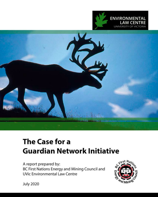 The Case for a Guardian Network Initiative