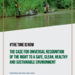 El Momento Es Ahora: el caso para el reconocimiento universal del derecho a un ambiente sin riesgos, limpio, saludable y sostenible