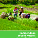 UN Environment Compendium of Good Practices on Human Rights and the Environment