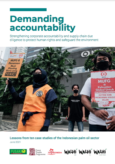 Demanding Accountability: Strengthening corporate accountability and supply chain due diligence to protect human rights and safeguard the environment
