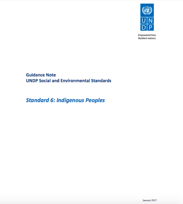 Guidance Note: UNDP Social and Environmental Standards – Indigenous Peoples (Standard 6) Se ha habilitado la compatibilidad con lectores de pantalla.