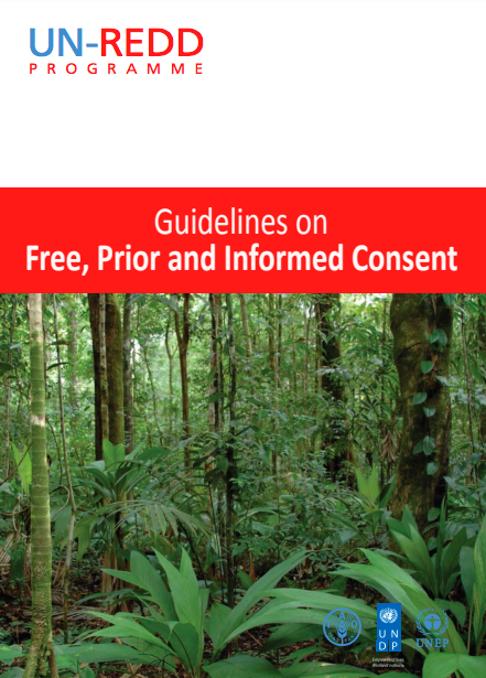 Guidelines on Free, Prior and Informed Consent