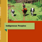 Lessons learned report