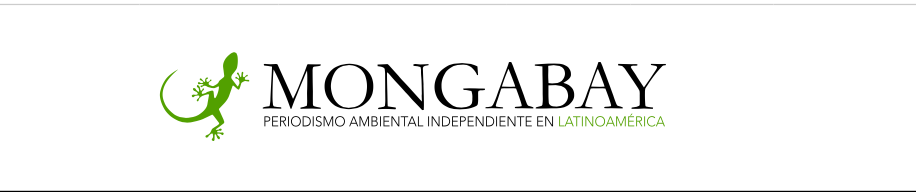 Latinoamérica sigue siendo la región más peligrosa para los defensores ambientales | Nuevo reporte