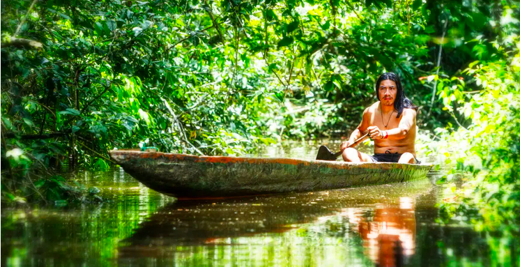 Deforestation an attack on the human rights of forest peoples