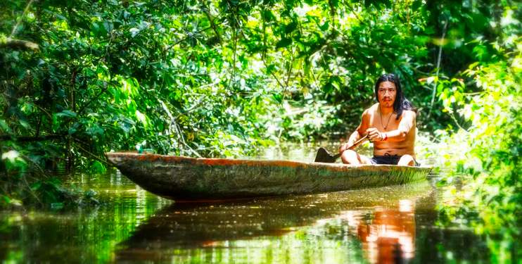 La deforestación atenta contra los derechos humanos de los pueblos de los bosques